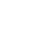 developing (1)
